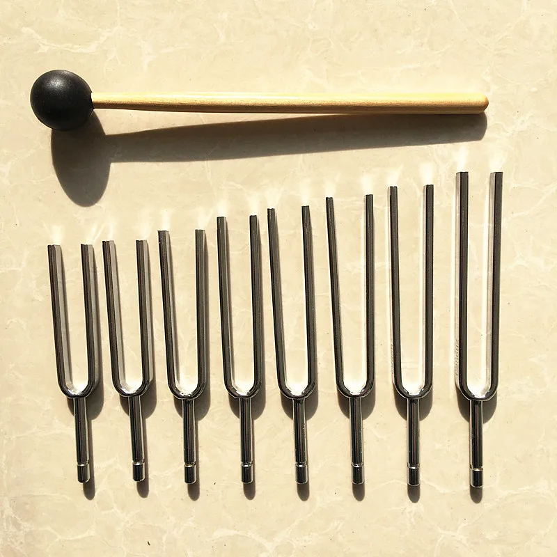 ชุดส้อมดนตรี เครื่องดนตรีแบบส้ - Musical Instrument Groups บทวิจารณ์และราคา
