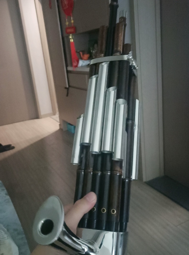 ขลุ่ย 17 ท่อน รุ่น Sheng สีม่ว - Musical Instrument Reed บทวิจารณ์และราคา