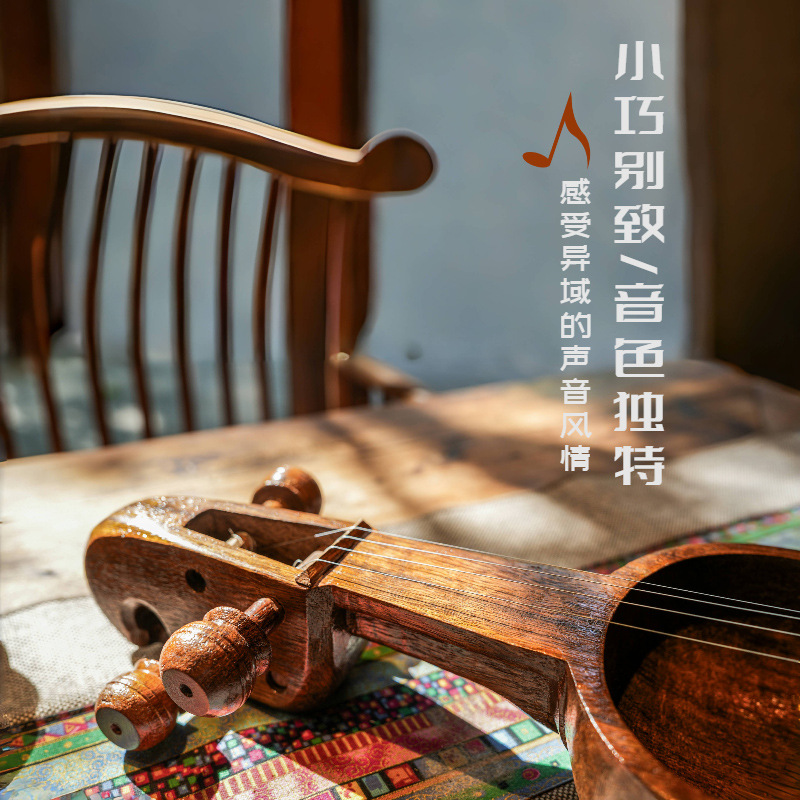 ซาลังกีของเนปาล, ไวโอลินทางเลื - Musical Instrument Groups บทวิจารณ์และราคา